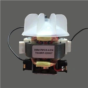Electric Single Phase For Hair Dryer