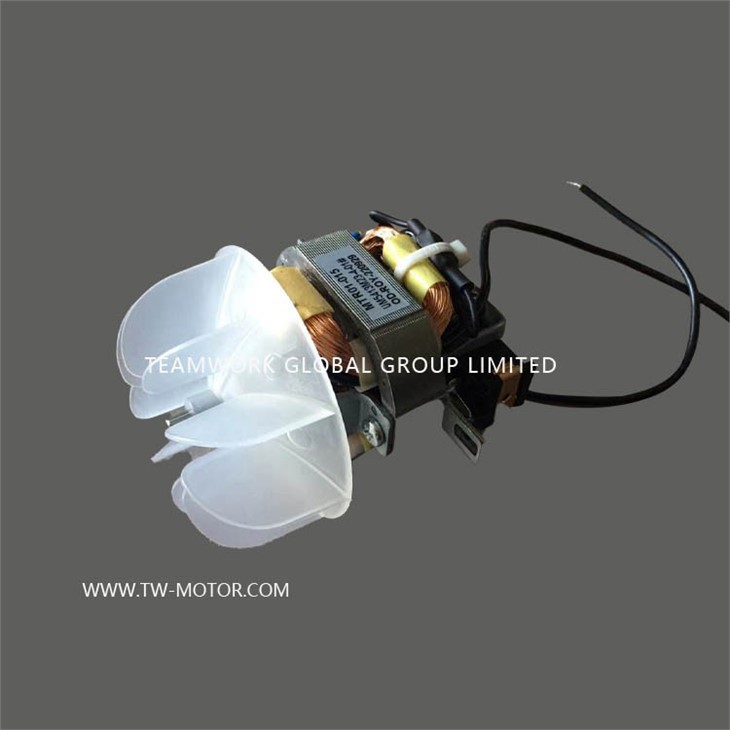 Universal Motor For Hair Dryer