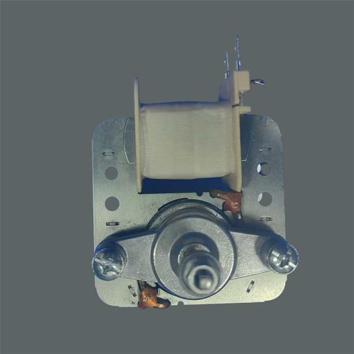 Multifunctional Household Oven Motor