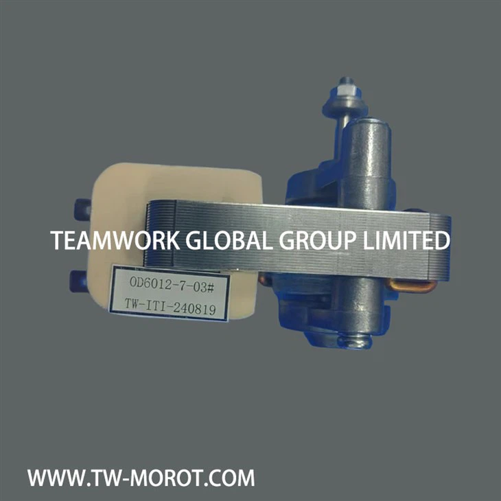 Shaded Pole Asynchronous Oven Motor