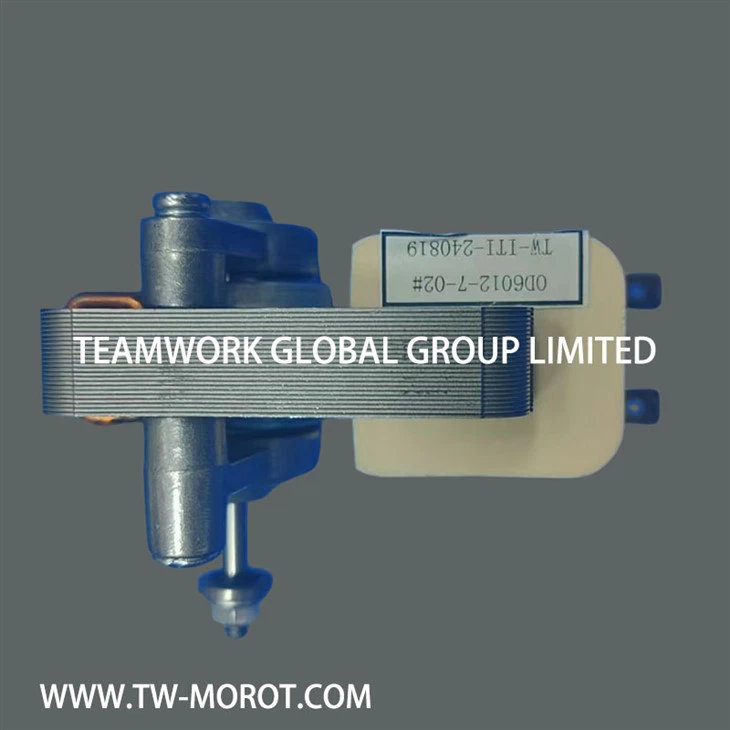 Shaded Pole Asynchronous Oven Motor