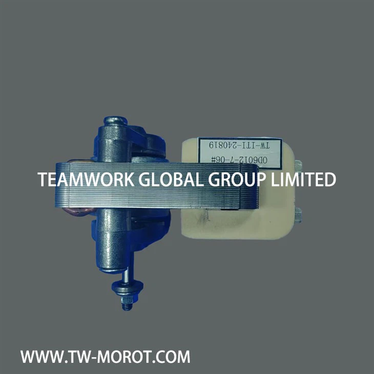 Shaded Pole Asynchronous Oven Motor