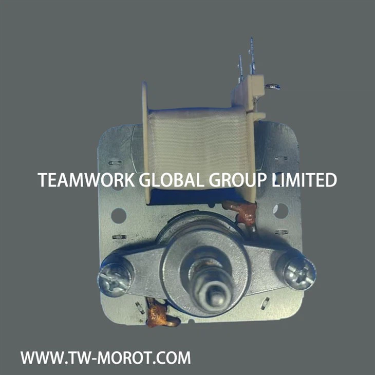 Shaded Pole Asynchronous Oven Motor