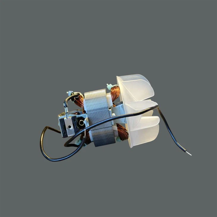 Cost-Effective Hair Dryer Motor best